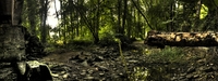 Forest-of-elves