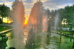 Water-garden