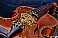 -violin-