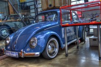 Beetle-race-cup