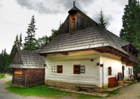 Skanzem-ii