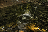Splash-movement