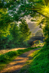 Bridge-36