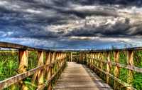 Jetty