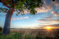 Leicestershire-sunrise