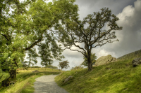 Country-walk