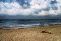 Sea