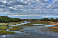 Saltwater-marsh
