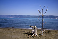 The-end-of-life-in-blue