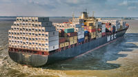 Msc-federica
