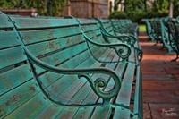 A-bench-at-red-fort