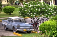 Old-beauty