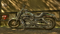 Harley-berlin