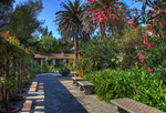 San-juan-bautista-mission-garden
