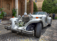 Auto-nuziale