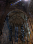 Palma-cathedral
