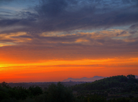 The-first-morning-redness