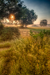 Gated-sunrise