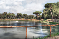 Lake-for-sport-fishing-viterbo-italy