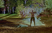 Shadows