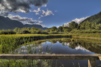 Biotope-of-the-lake-kaltern-