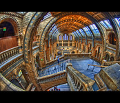 British-natural-history-museum