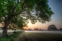 An-early-start