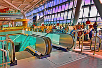 Terminal-5