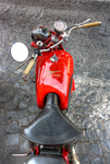 Guzzi