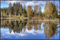 Norwegian-autumn