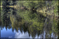 Reflections