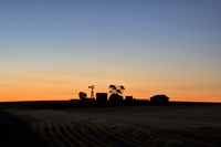 Sunrise-after-harvest