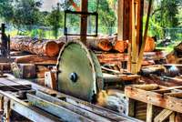 Saw-mill-