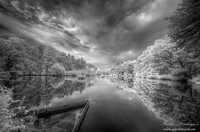 Monochrome-mirror