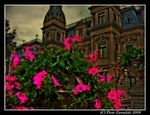 Flowers-at-the-poznanski-s-palace-in-lodz-poland
