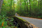 Road-to-nowhere