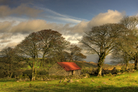 Emsworthy-barn