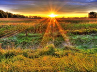 September-morn-