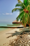 Maldives