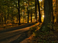 October-trail