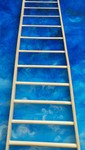 12-steps-as-photography-new-website-free-spiritual-images