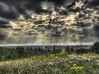 Sheffield-rays-