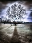 Tree-surreal