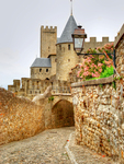 Castle-in-carcassonne