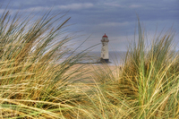 Sand-dune-view