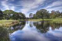 Estate-grounds