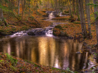 Fall-