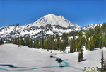 Rainier-in-winter