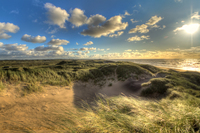 Sand-dune-on-north-sea-coast-denmark