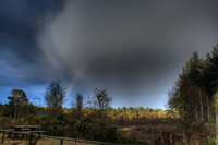 Delamere-forest-rainbow